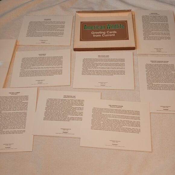 1980 American Wildlife Greeting 8 Cards From Current Vintage w Envelopes & Box - Picture 16 of 16